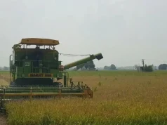 कुरुक्षेत्र में बदलेगा मौसम का मिजाज: सप्ताहभर साफ रहेगा आसमान, धान कटाई में आएगी तेजी