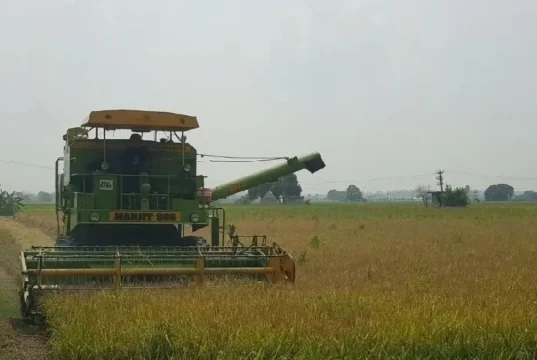कुरुक्षेत्र में बदलेगा मौसम का मिजाज: सप्ताहभर साफ रहेगा आसमान, धान कटाई में आएगी तेजी