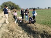 हरियाणा में 23.31 लाख एकड़ मिसमैच भूमि का 91.33% सत्यापन पूरा, किसानों को राहत की उम्मीद