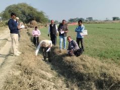 हरियाणा में 23.31 लाख एकड़ मिसमैच भूमि का 91.33% सत्यापन पूरा, किसानों को राहत की उम्मीद