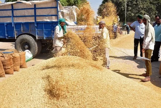 1509 धान ने तोड़े भाव के रिकॉर्ड, किसानों को मिल रहा 3800 से 4460 रुपये क्विंटल तक दाम